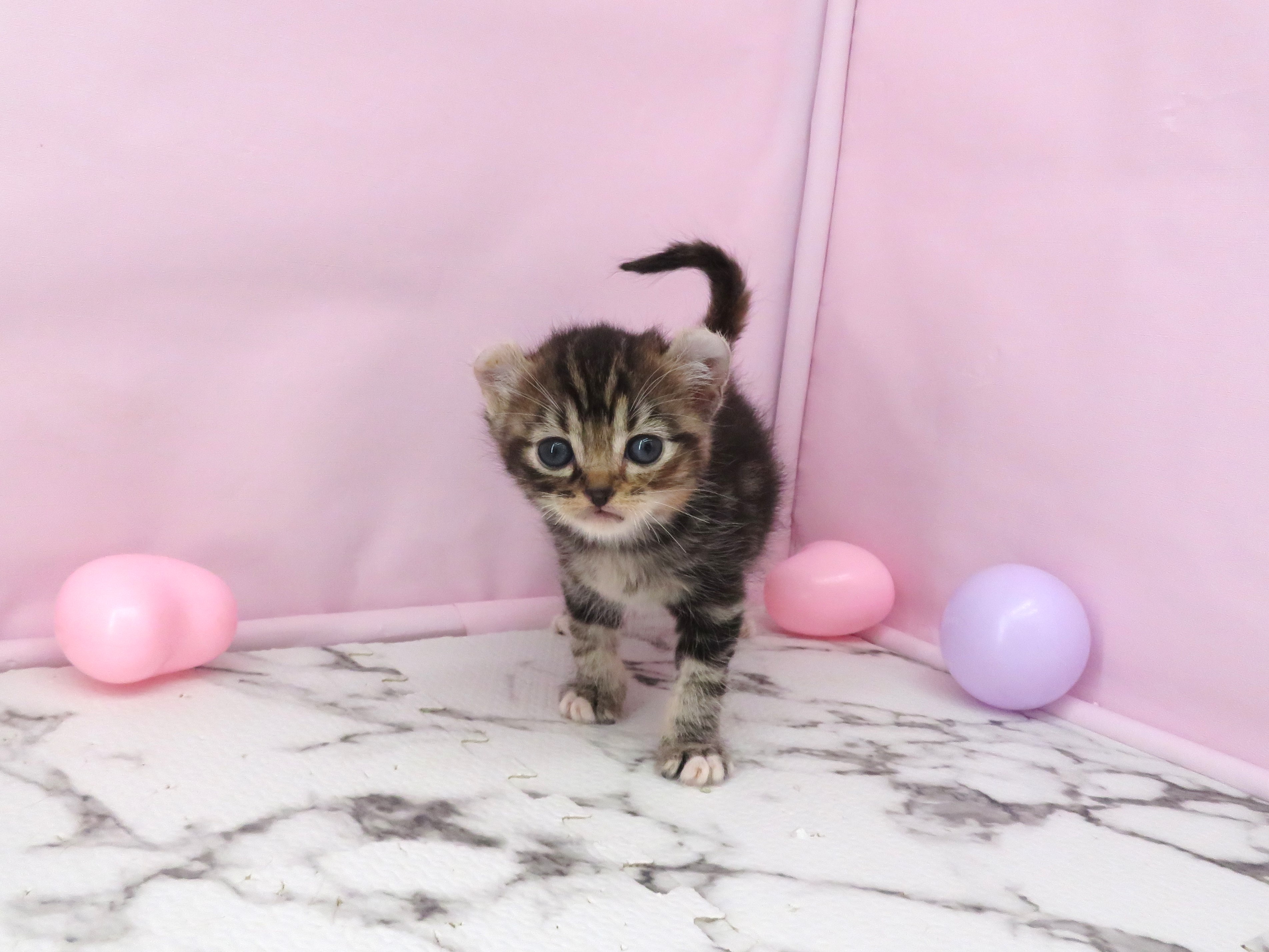 赤ちゃん写真2-1