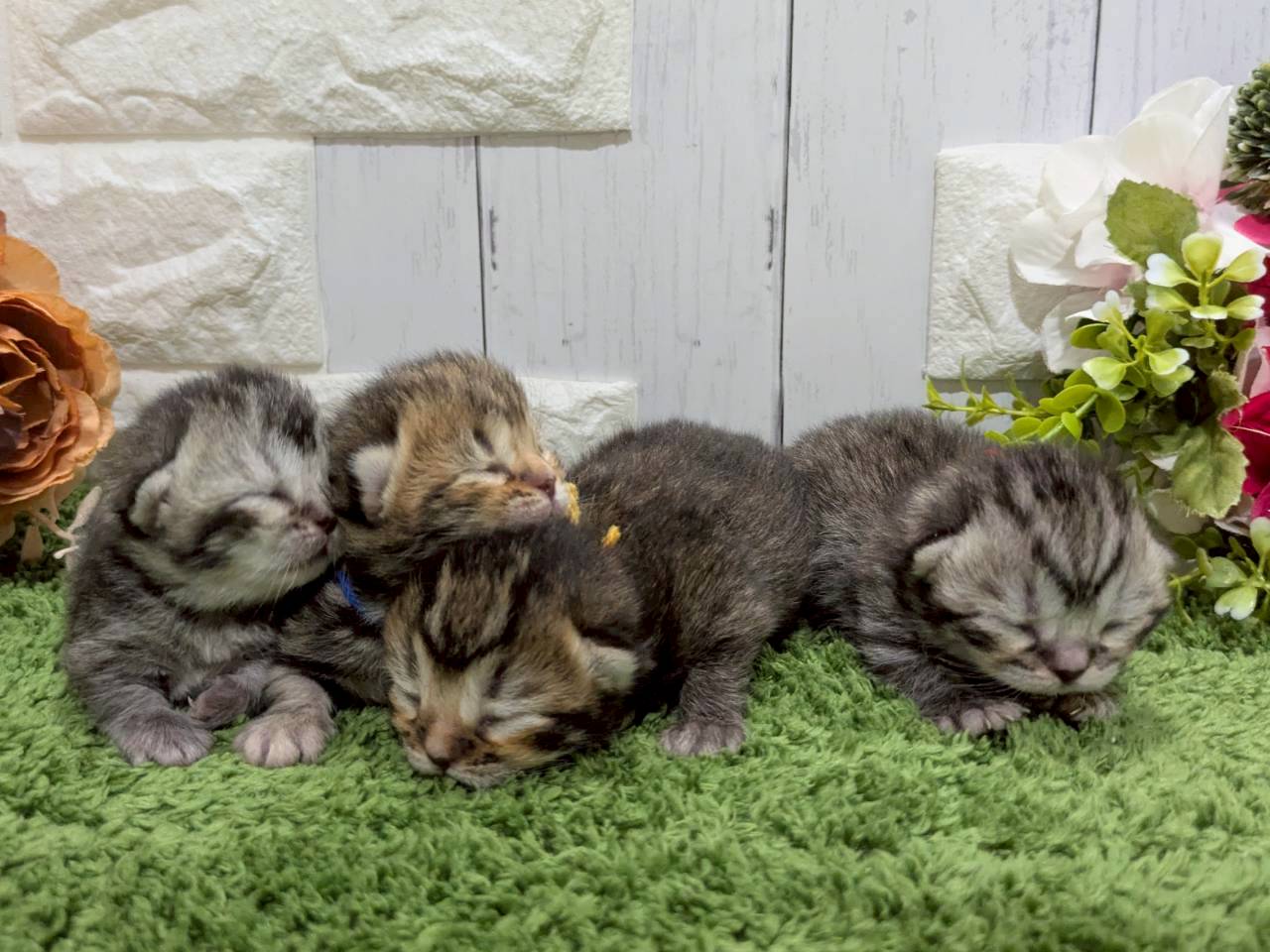 赤ちゃん写真1-3