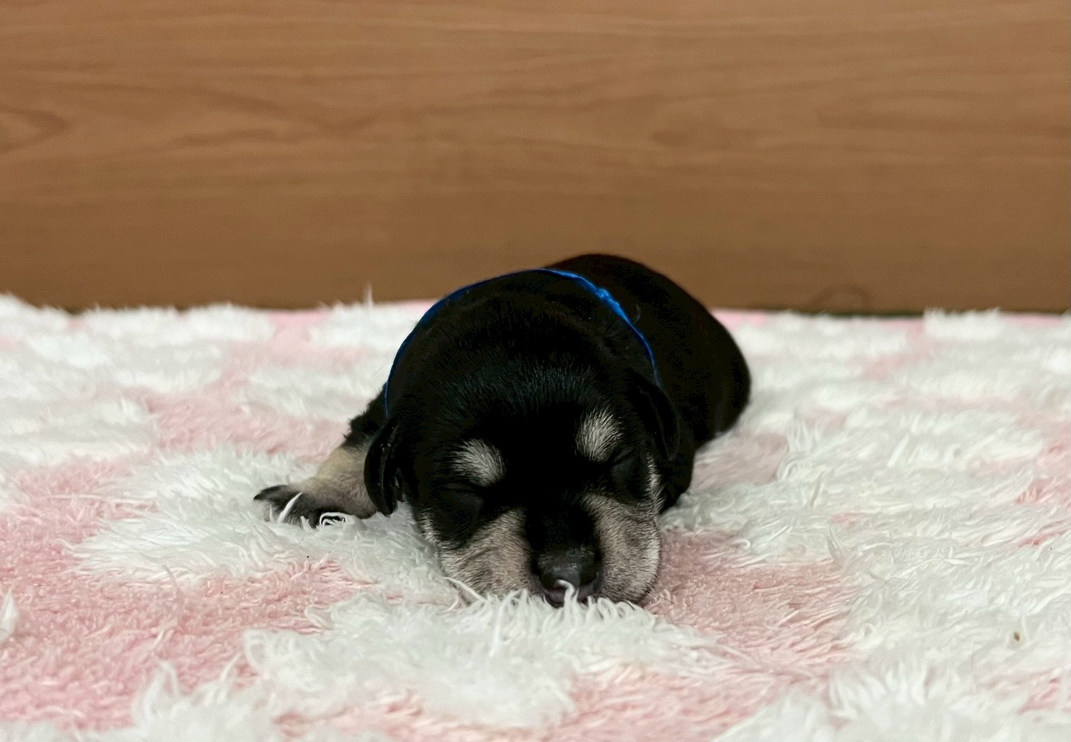 赤ちゃん写真1-1