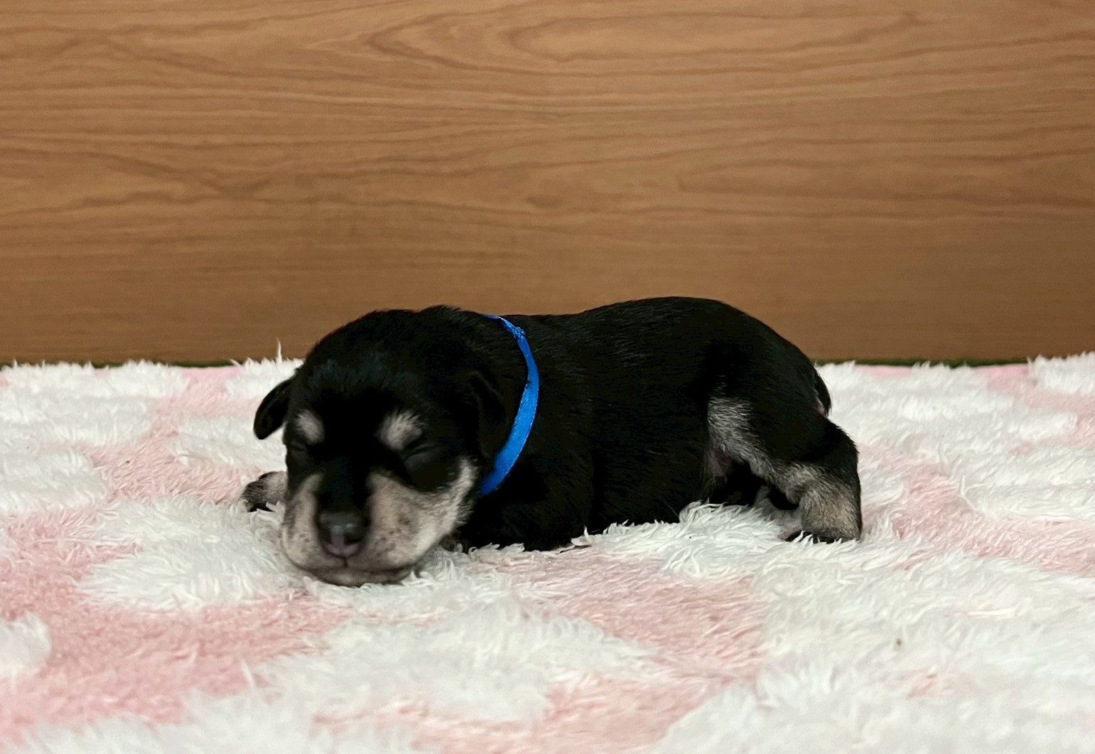 赤ちゃん写真1-2