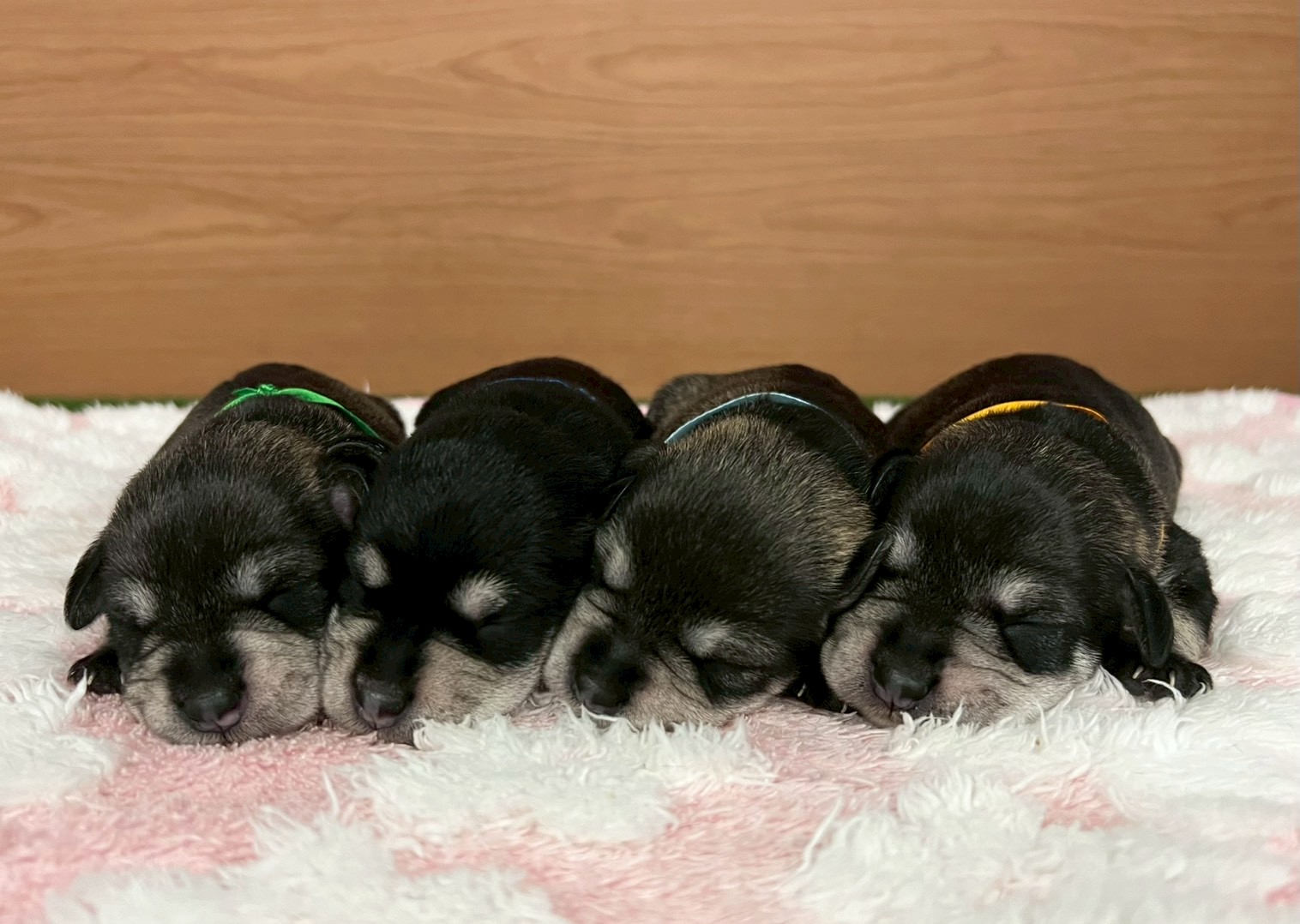 赤ちゃん写真1-3