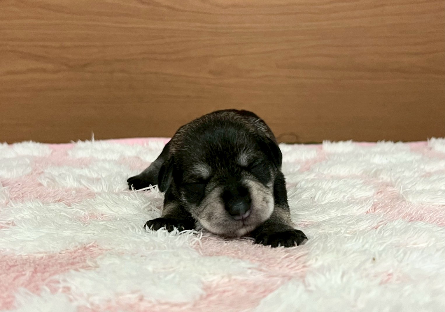 赤ちゃん写真1-1