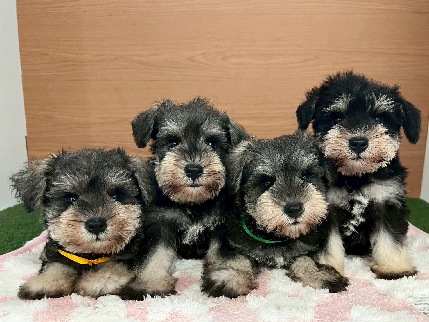 赤ちゃん写真3-3
