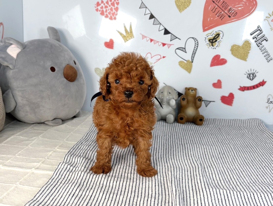 赤ちゃん写真2-1