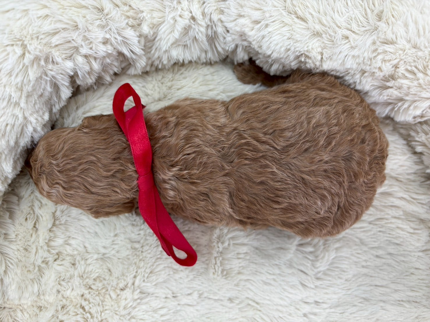 赤ちゃん写真2-3
