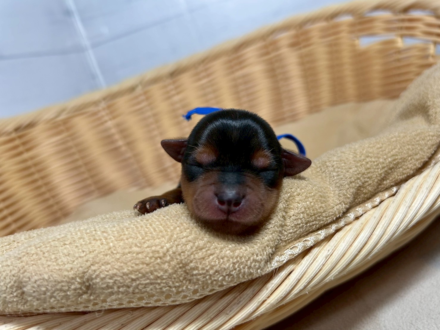 赤ちゃん写真1-1