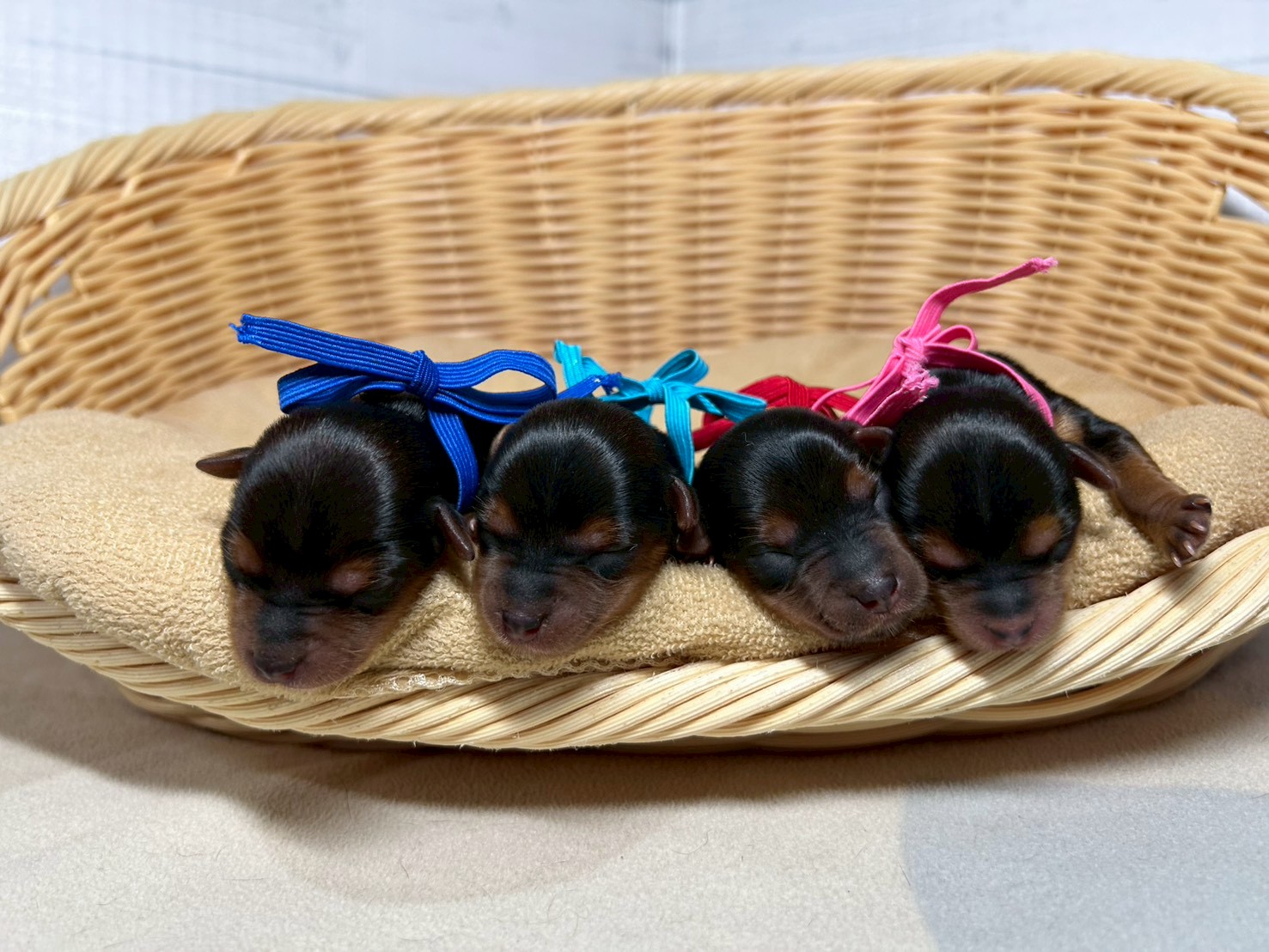 赤ちゃん写真1-3