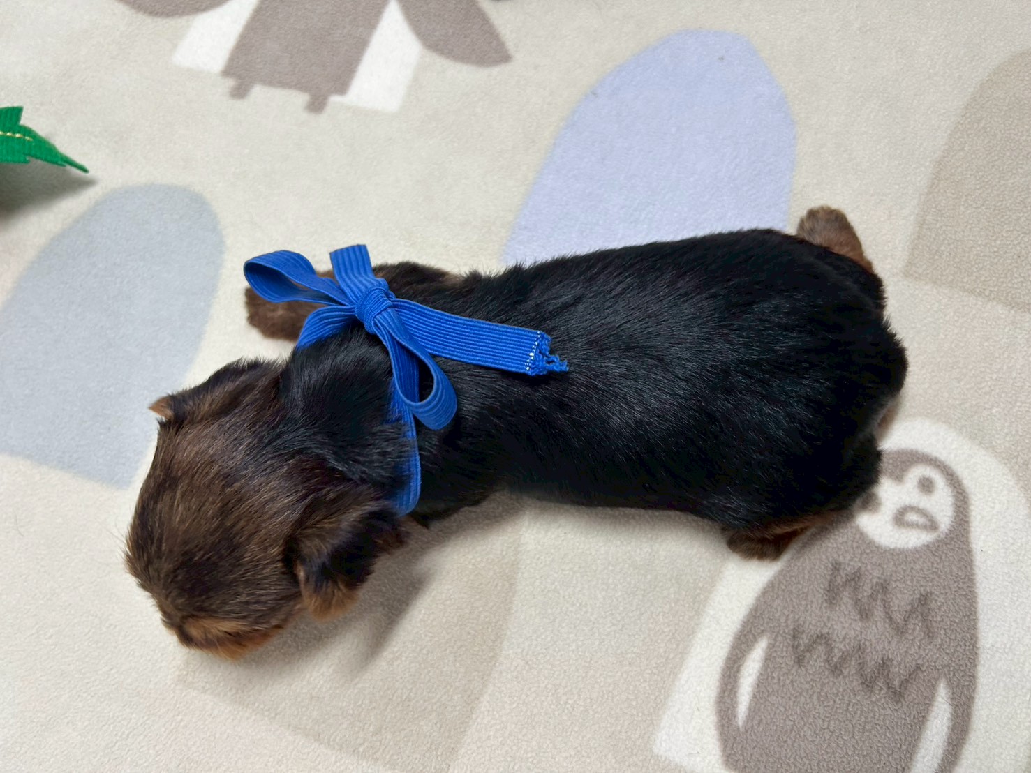 赤ちゃん写真2-3