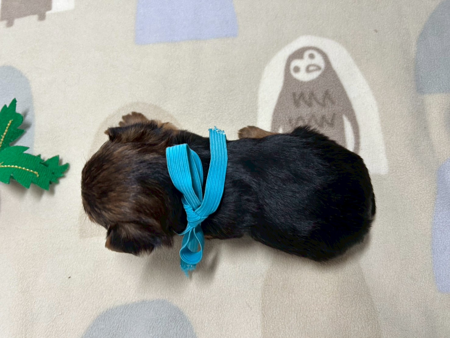 赤ちゃん写真2-3