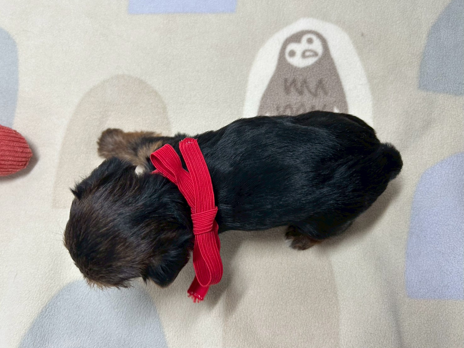 赤ちゃん写真2-3