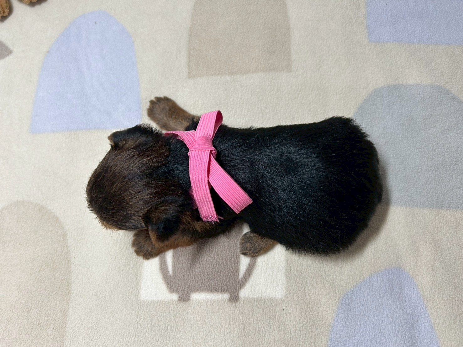 赤ちゃん写真2-3