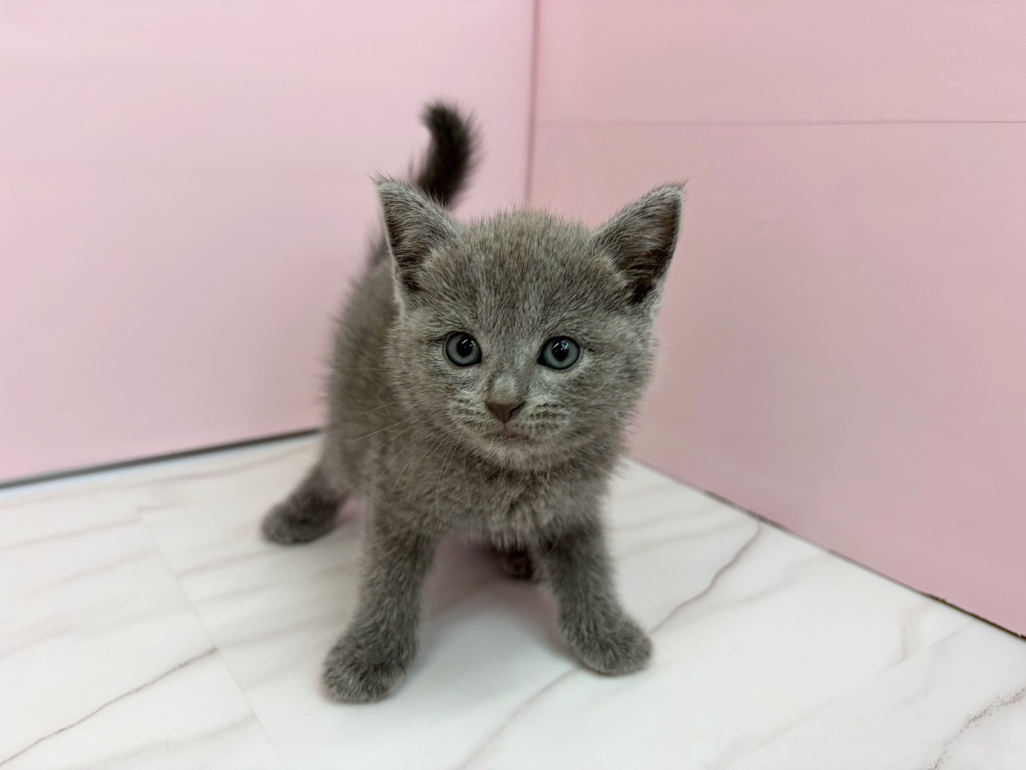 赤ちゃん写真2-1