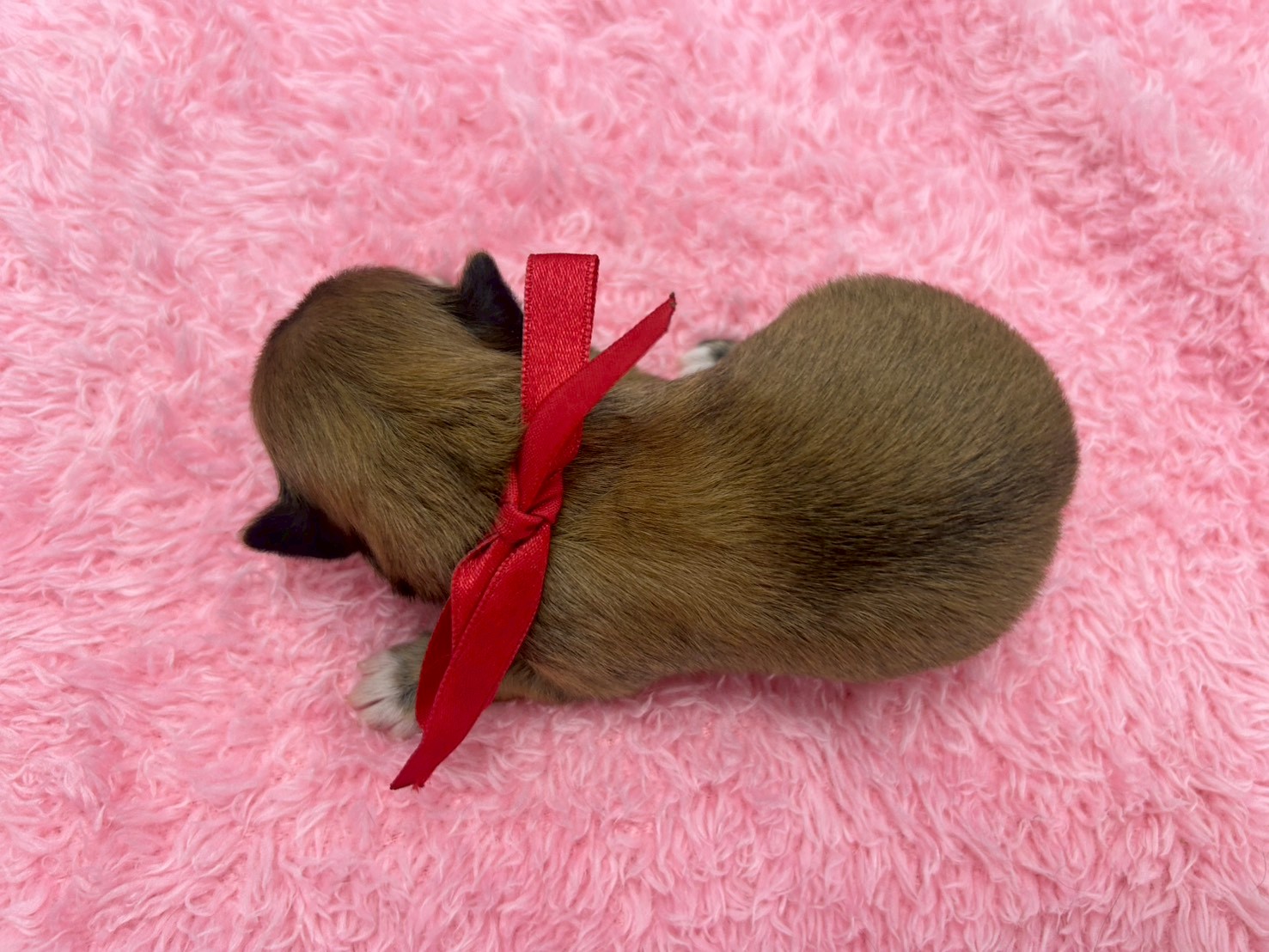 赤ちゃん写真1-3