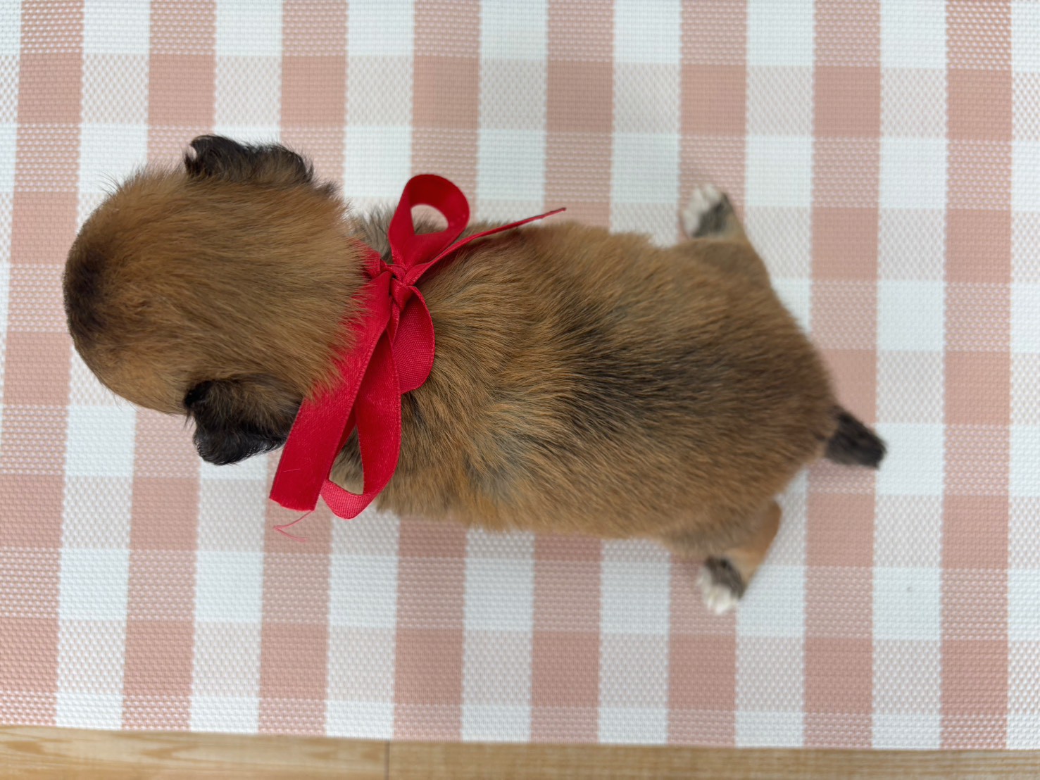 赤ちゃん写真2-3
