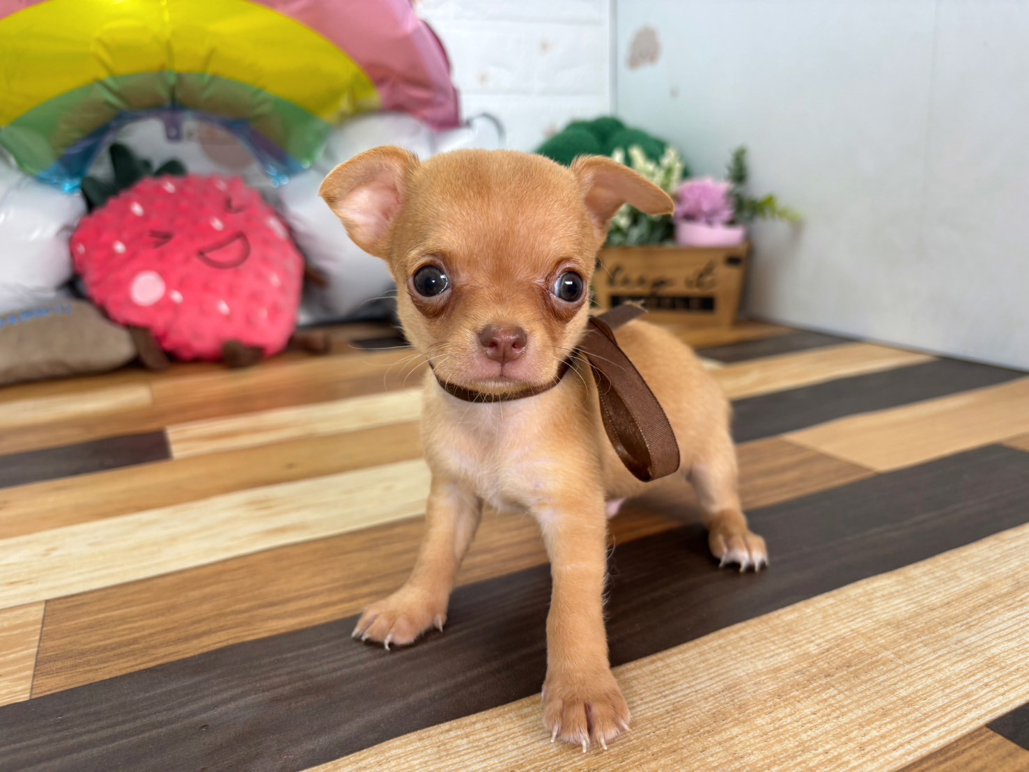 赤ちゃん写真3-1