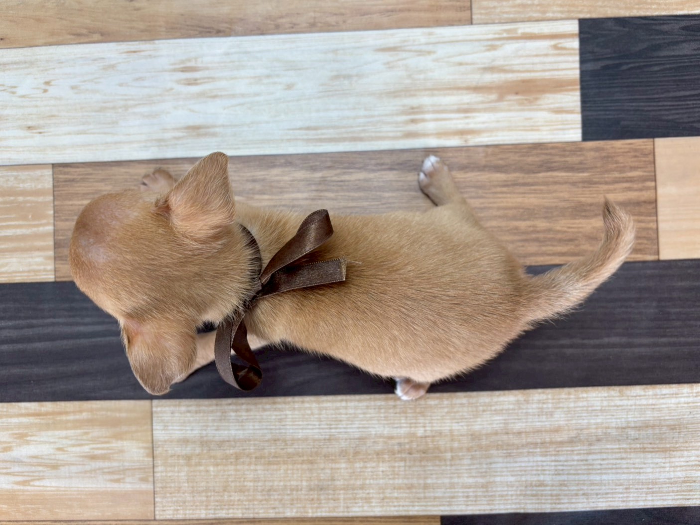赤ちゃん写真3-3