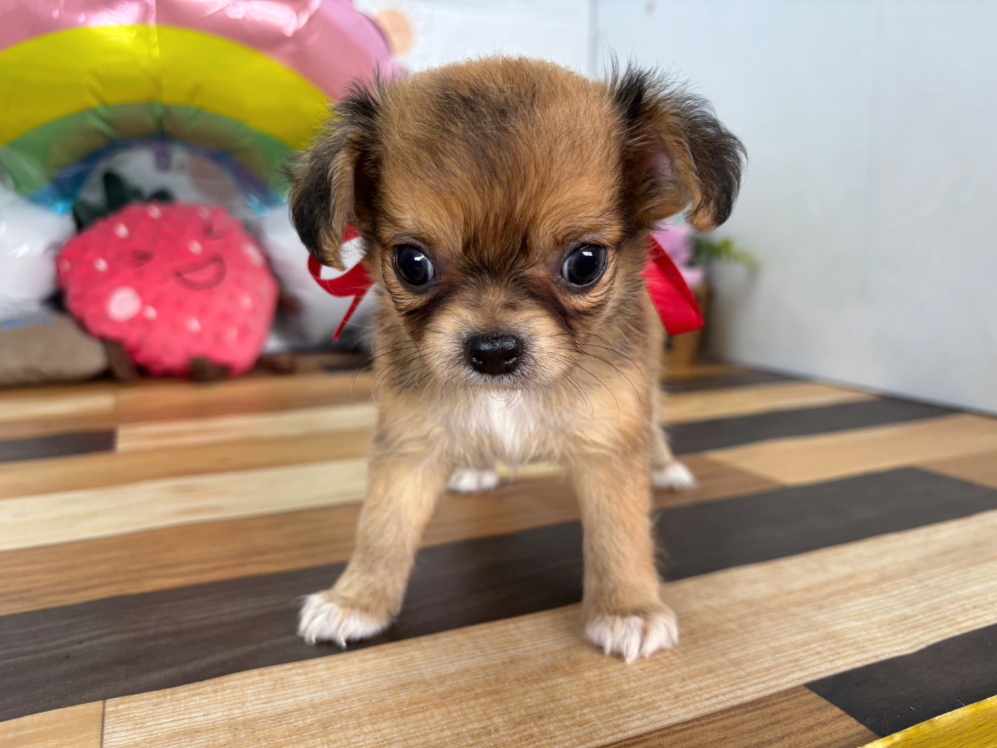 赤ちゃん写真3-1