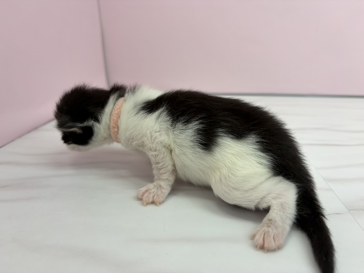 赤ちゃん写真1-2