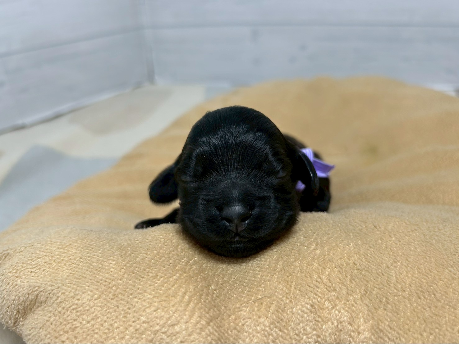 赤ちゃん写真1-1