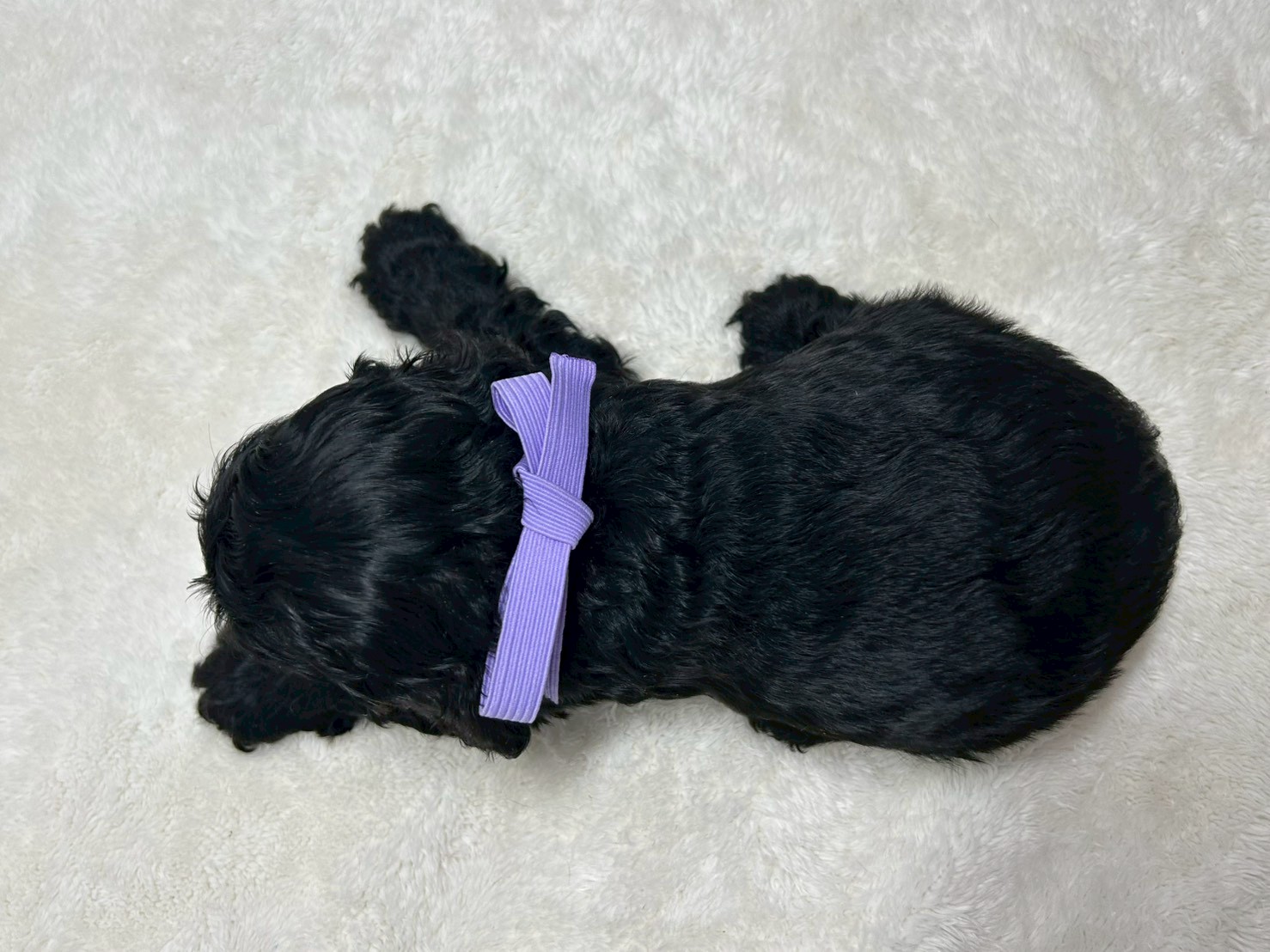 赤ちゃん写真2-3