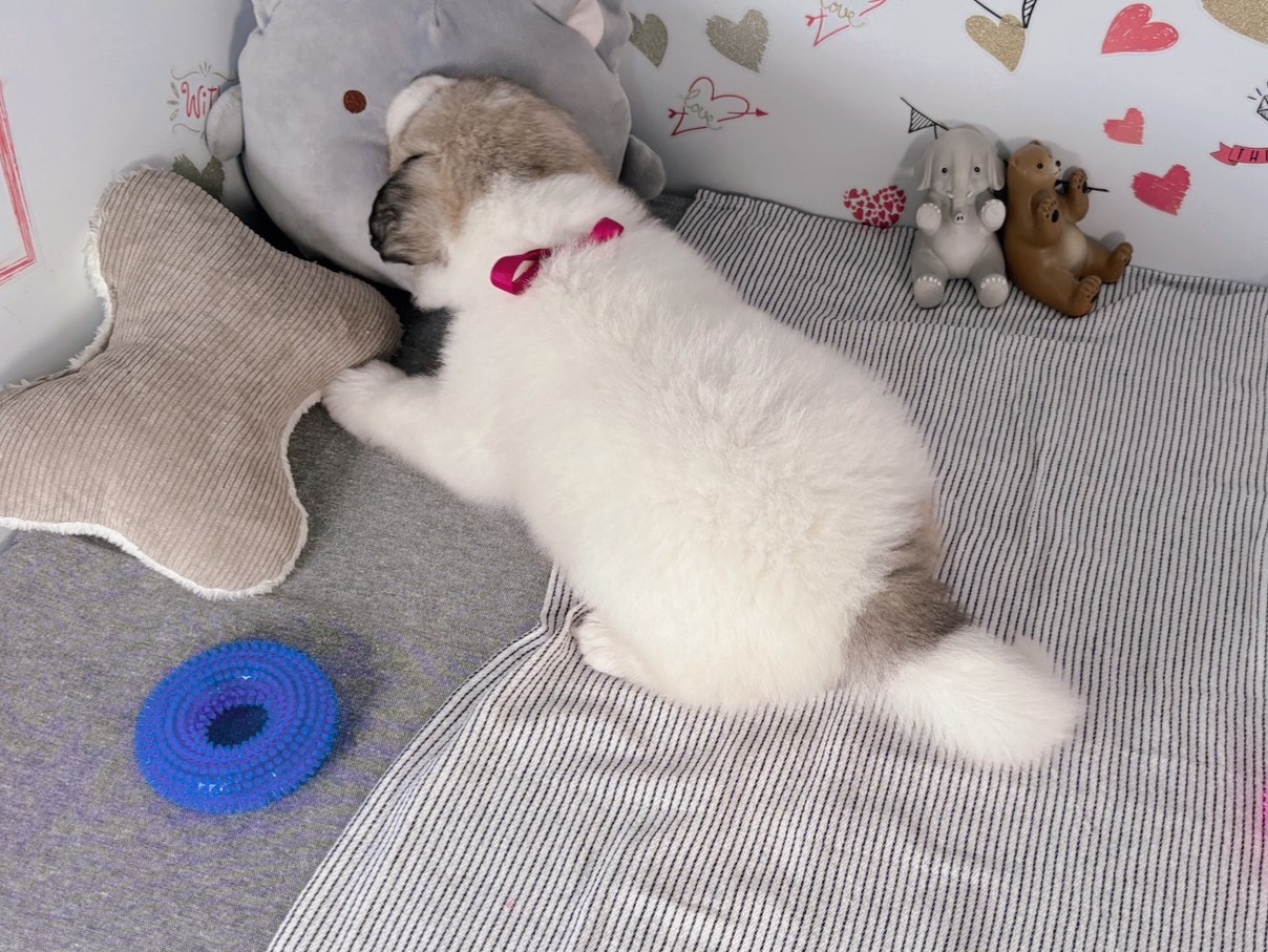 赤ちゃん写真2-3