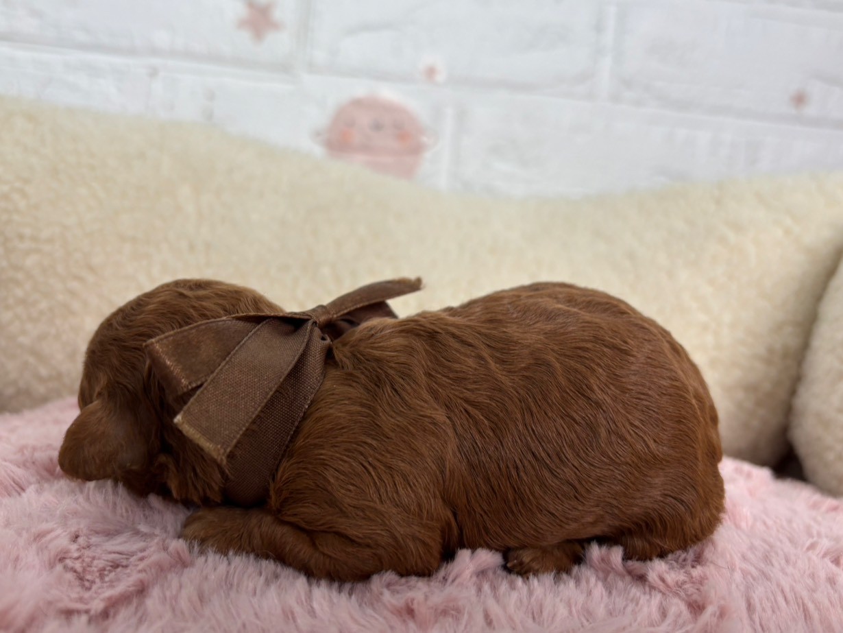赤ちゃん写真1-2