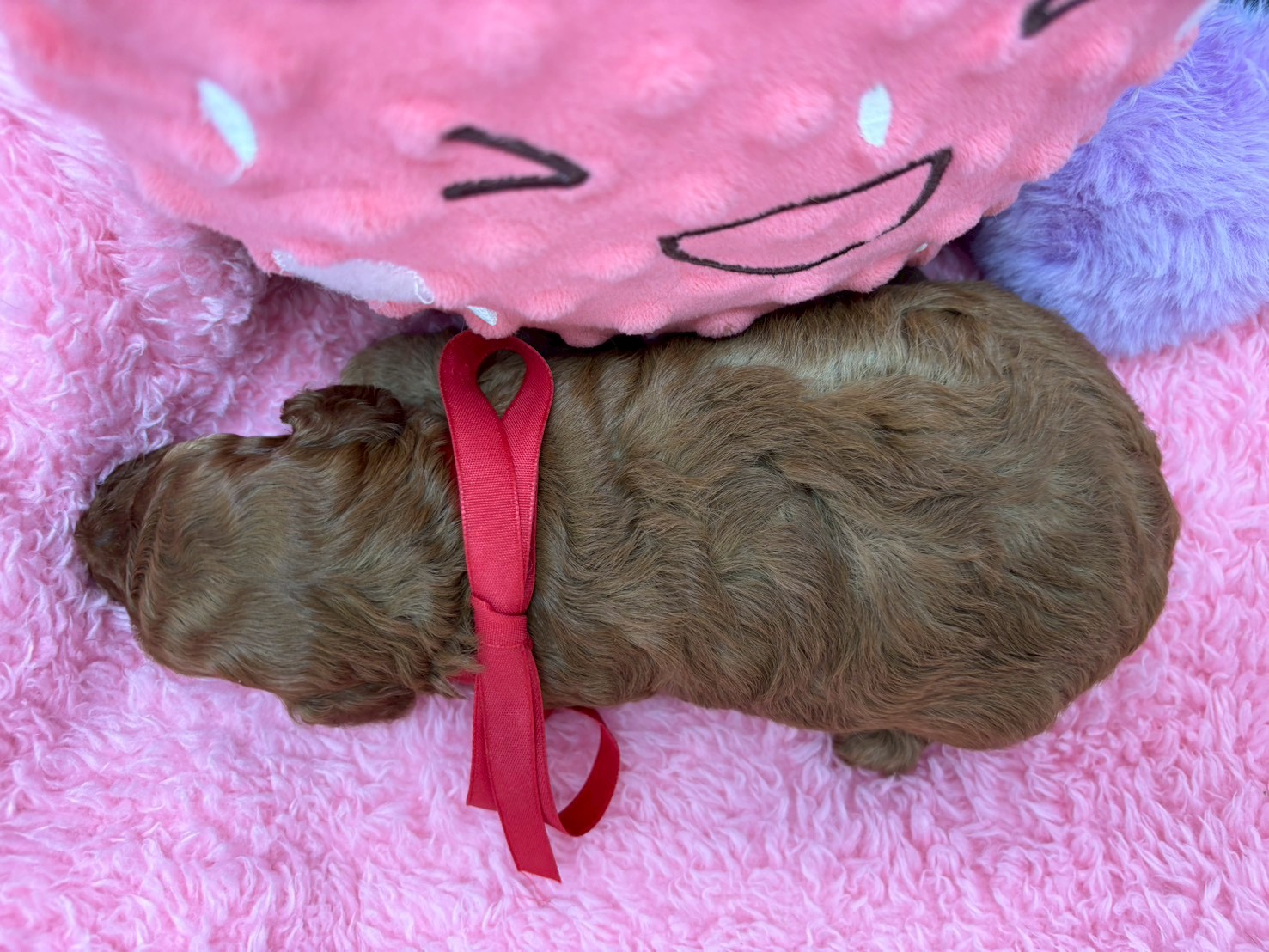 赤ちゃん写真2-3