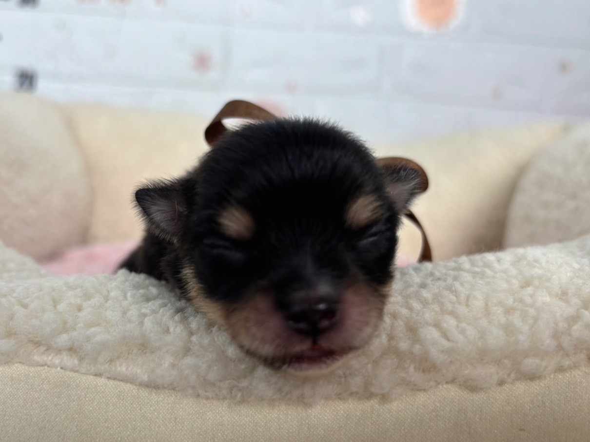 赤ちゃん写真1-1