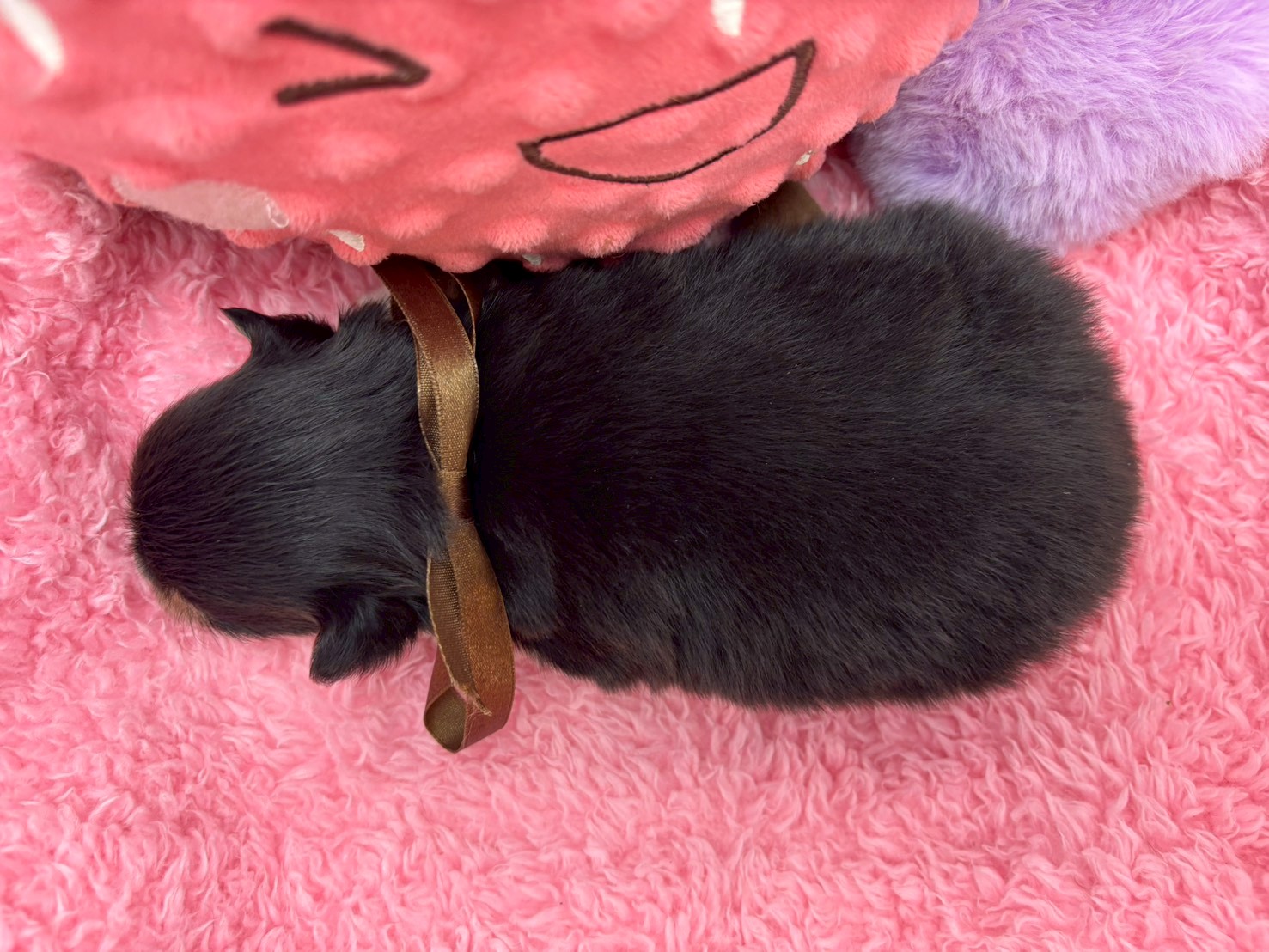 赤ちゃん写真2-3