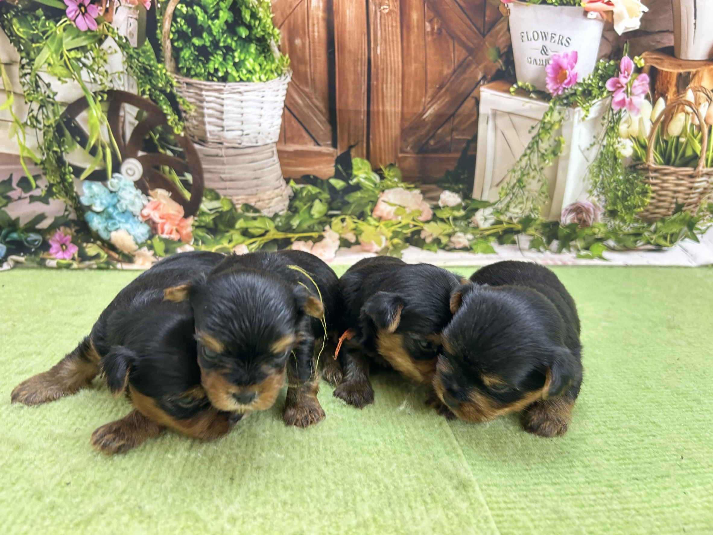 赤ちゃん写真1-3