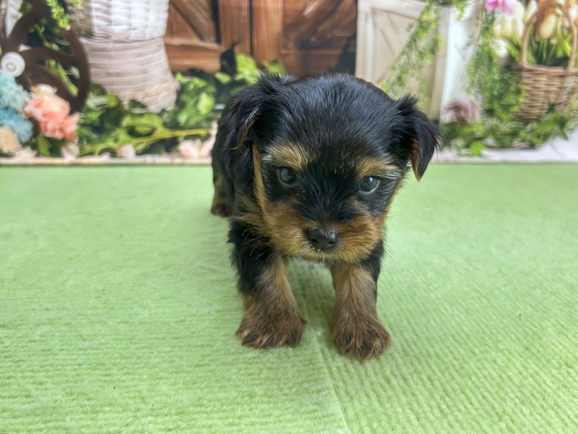 赤ちゃん写真2-1