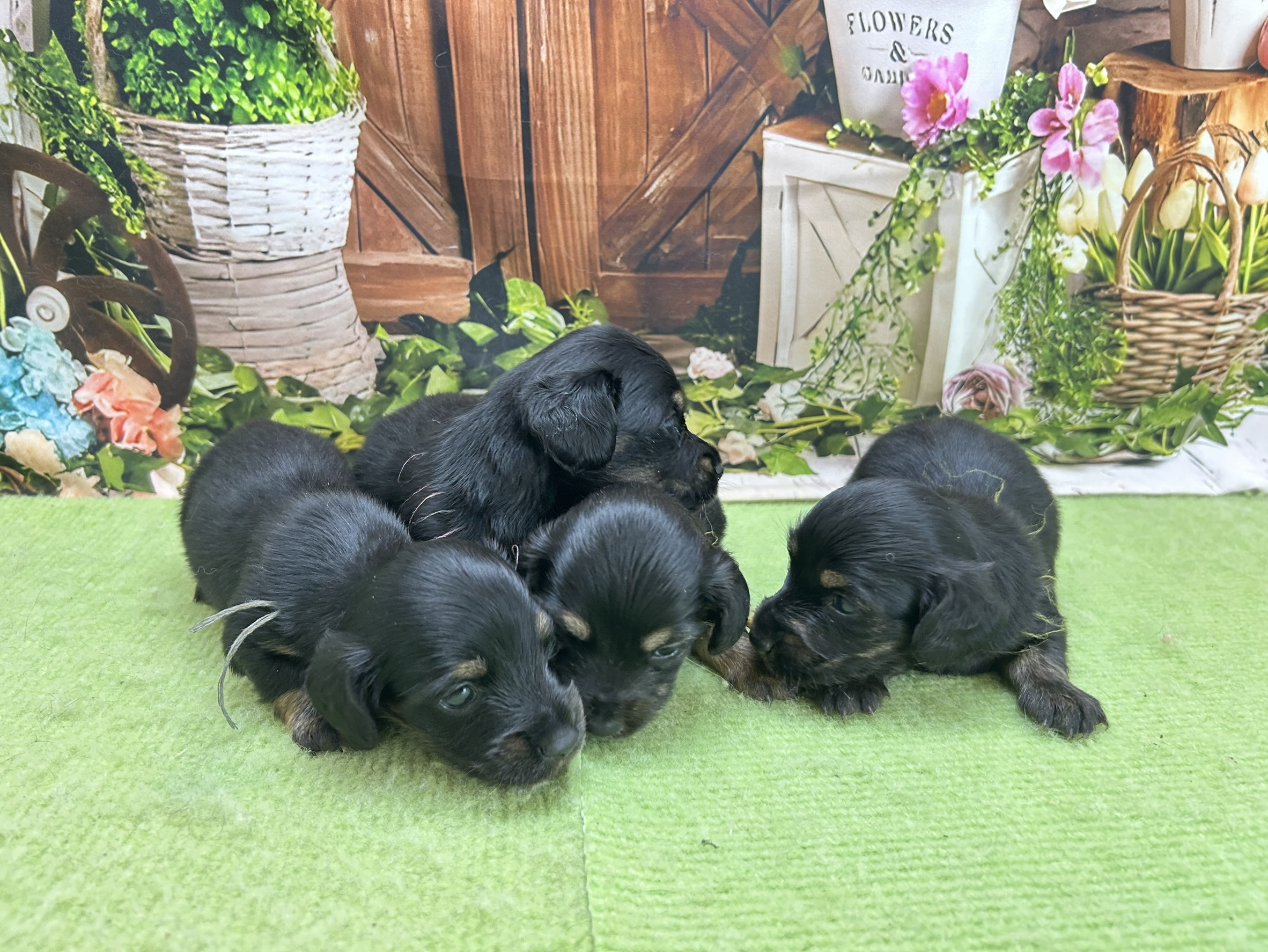 赤ちゃん写真1-3