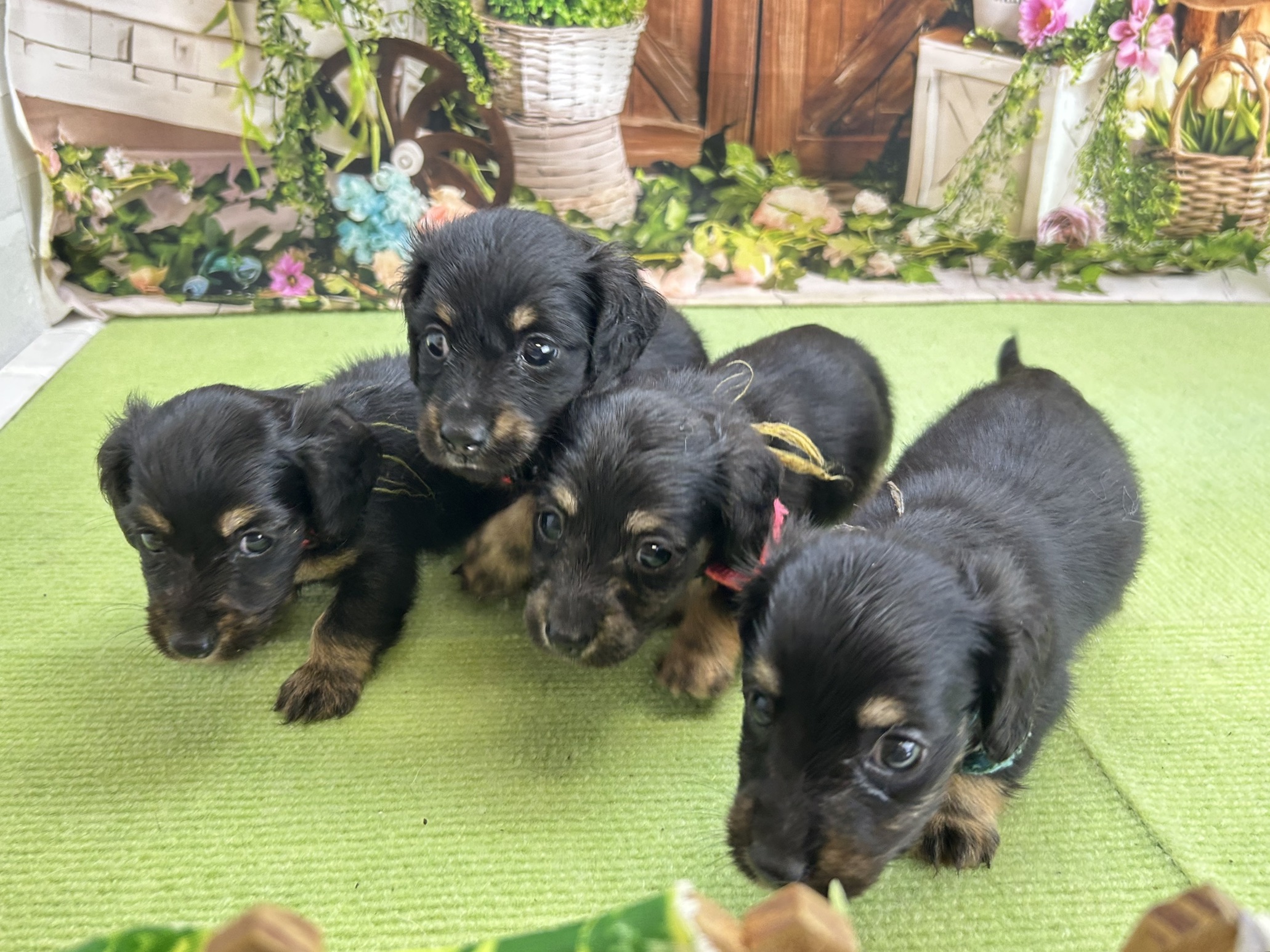赤ちゃん写真2-3