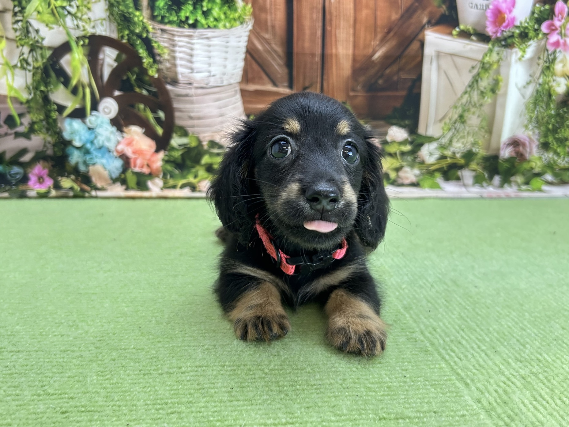 赤ちゃん写真3-1