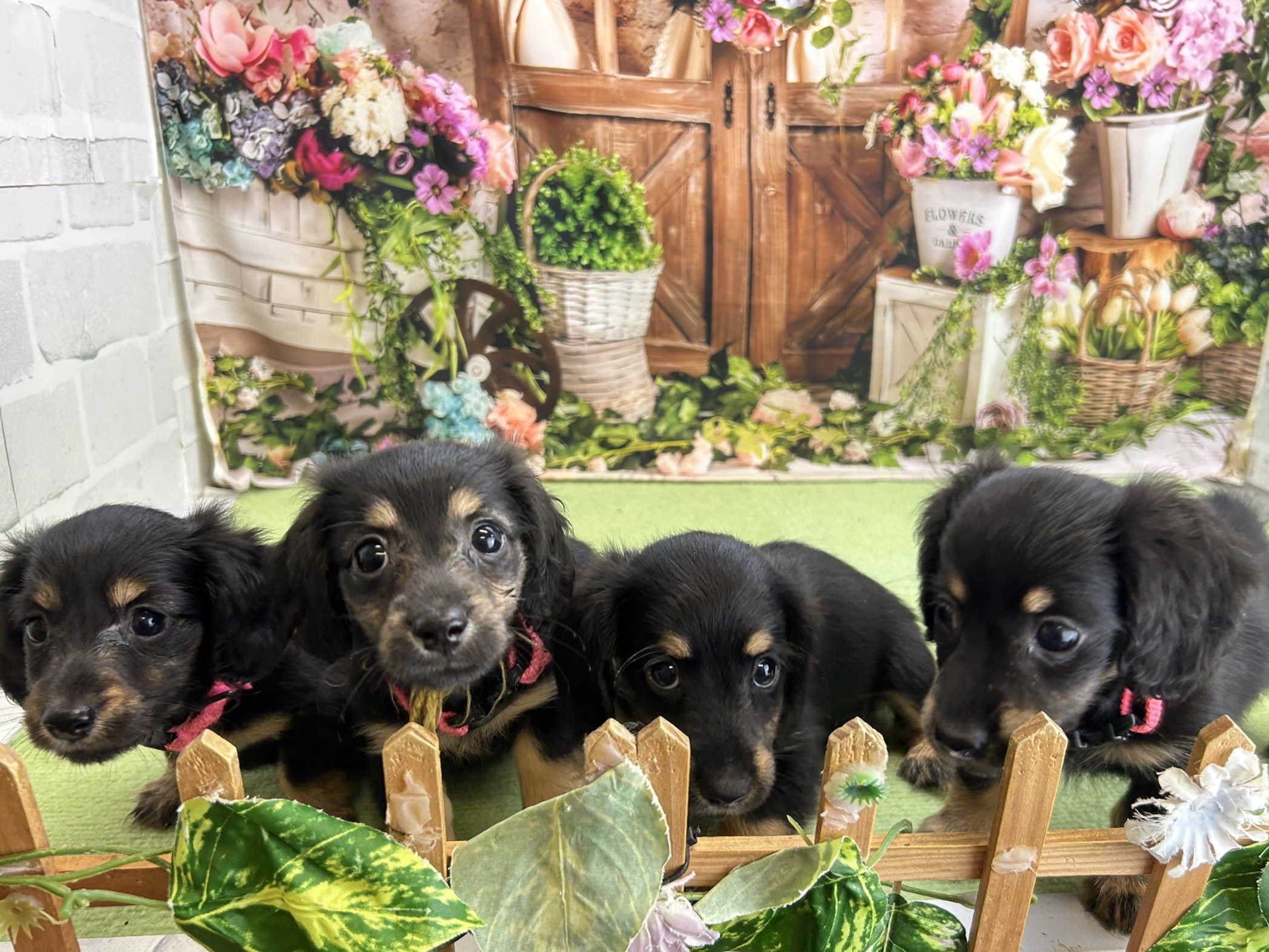 赤ちゃん写真3-3
