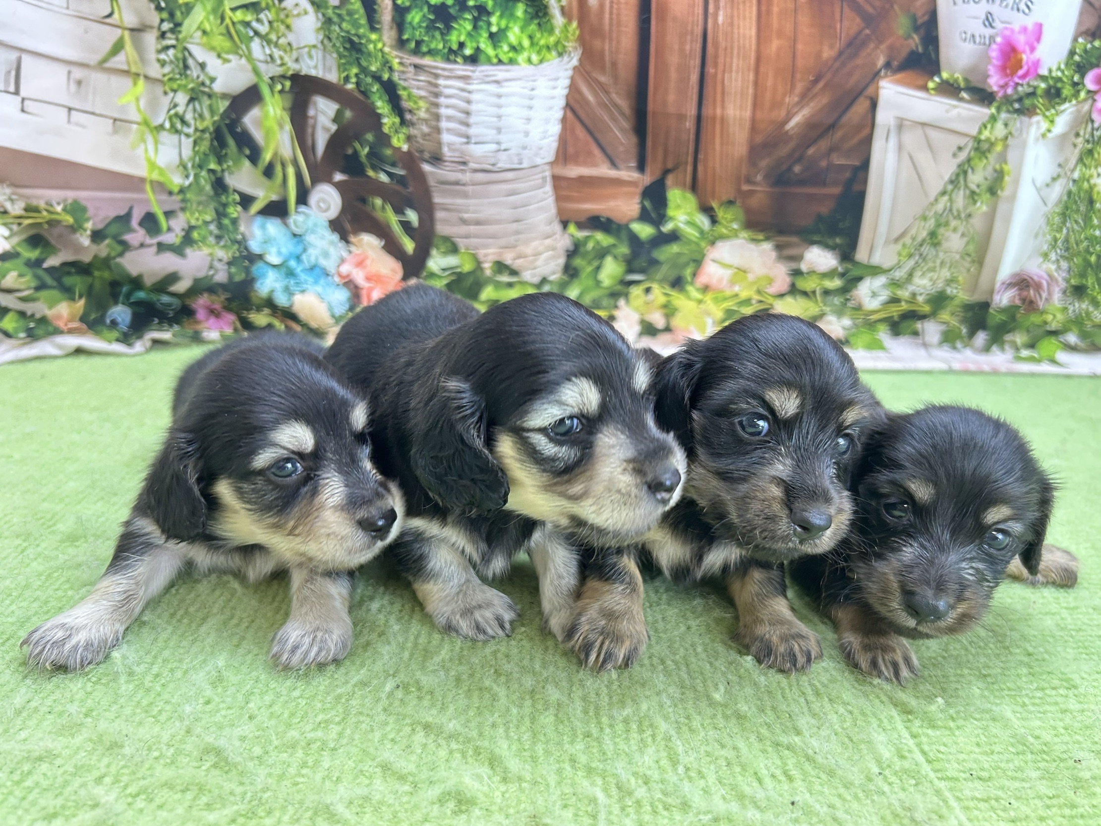 赤ちゃん写真1-3