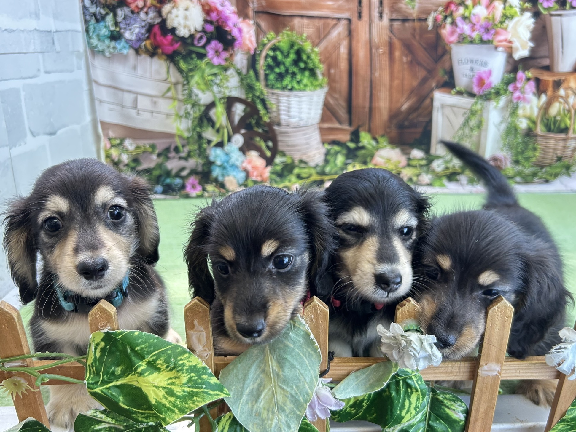 赤ちゃん写真3-3