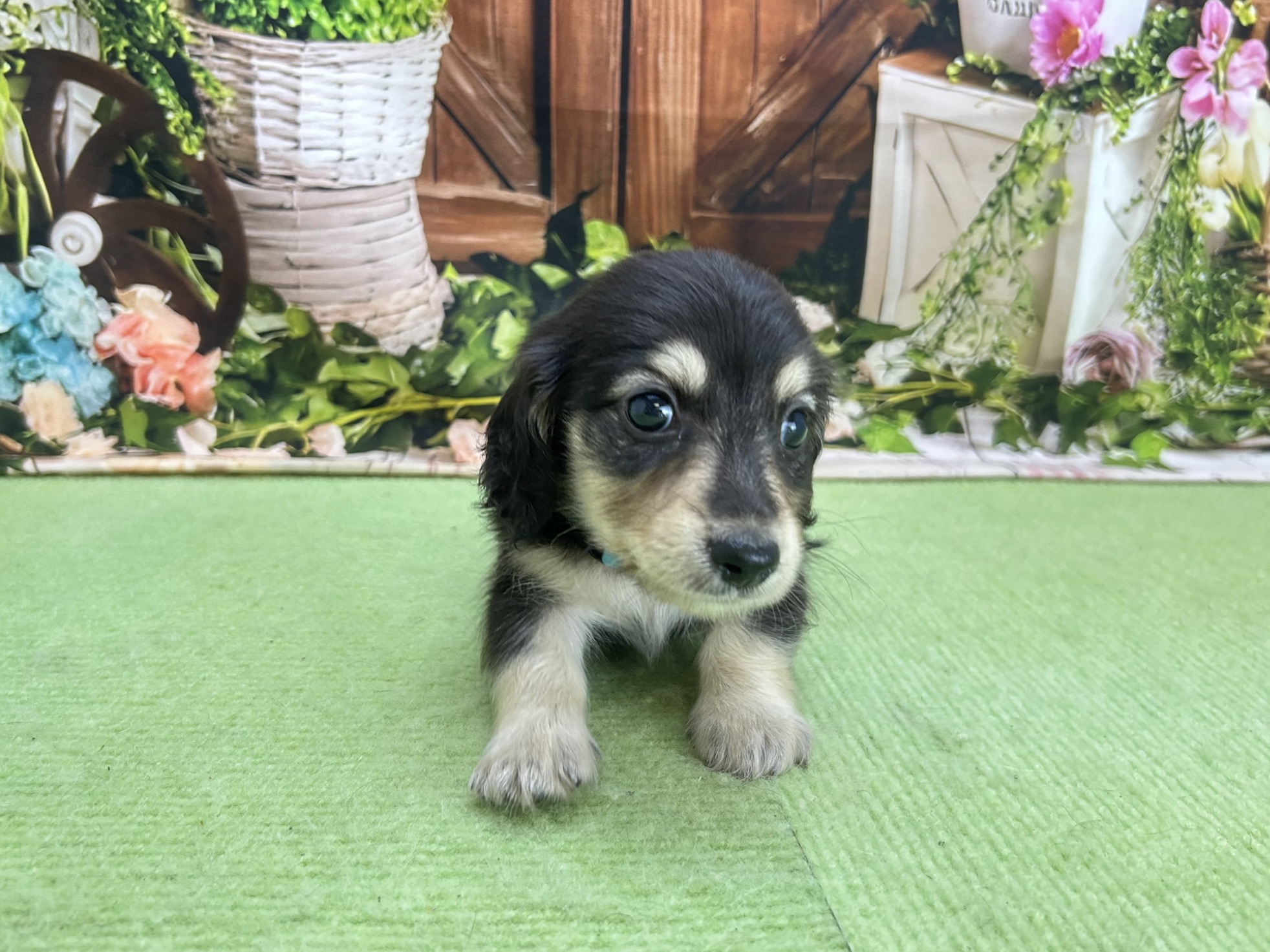 赤ちゃん写真2-1