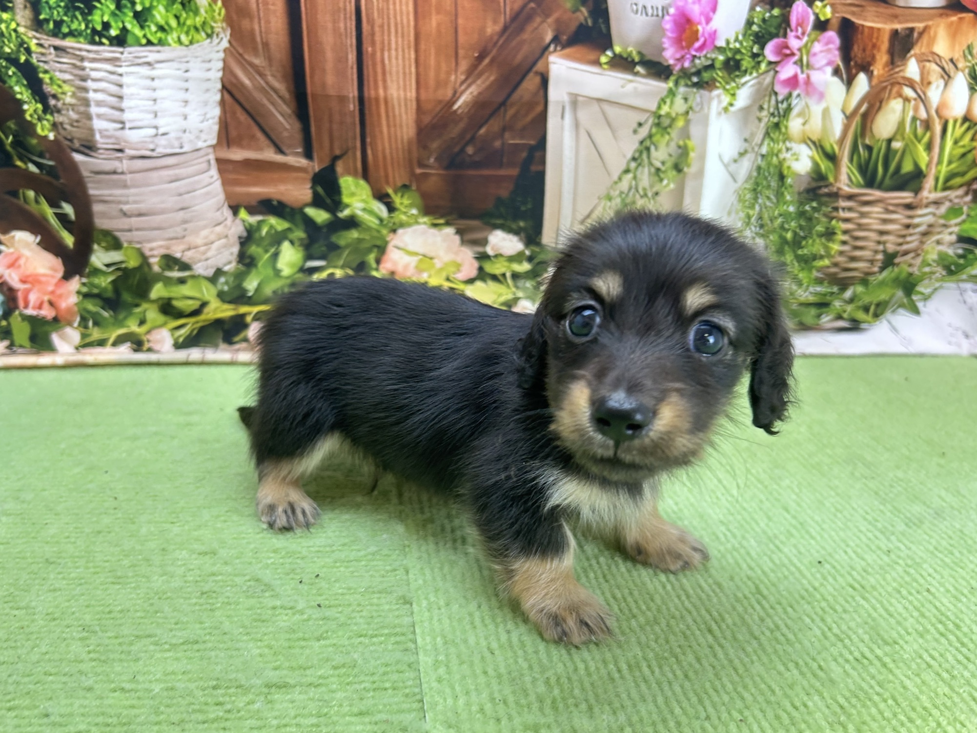赤ちゃん写真2-2