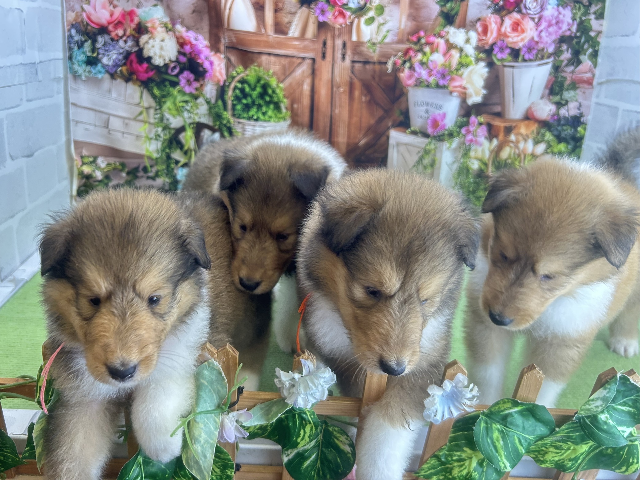 赤ちゃん写真2-3