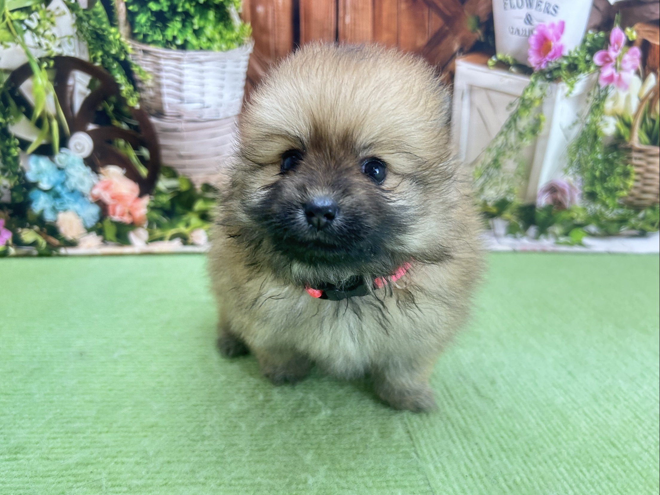 赤ちゃん写真2-1