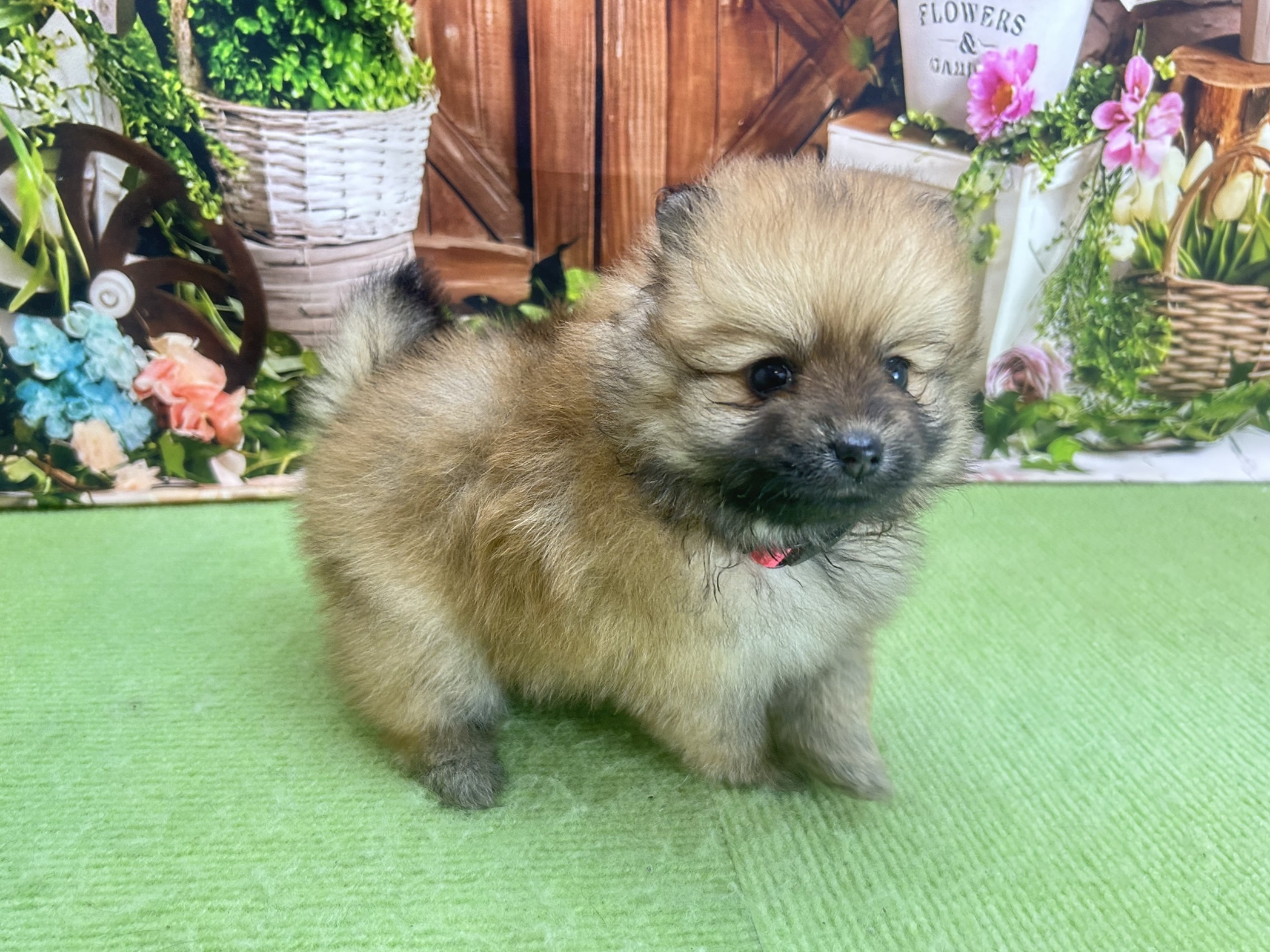 赤ちゃん写真2-2