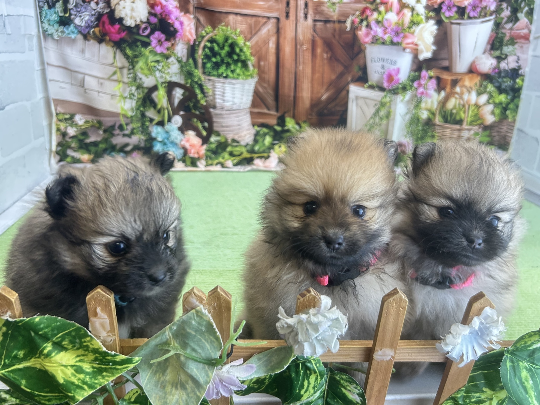 赤ちゃん写真2-3
