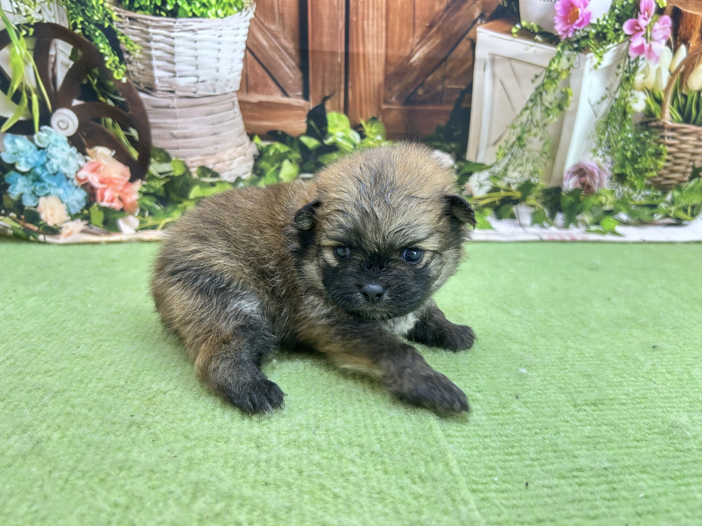 赤ちゃん写真1-2