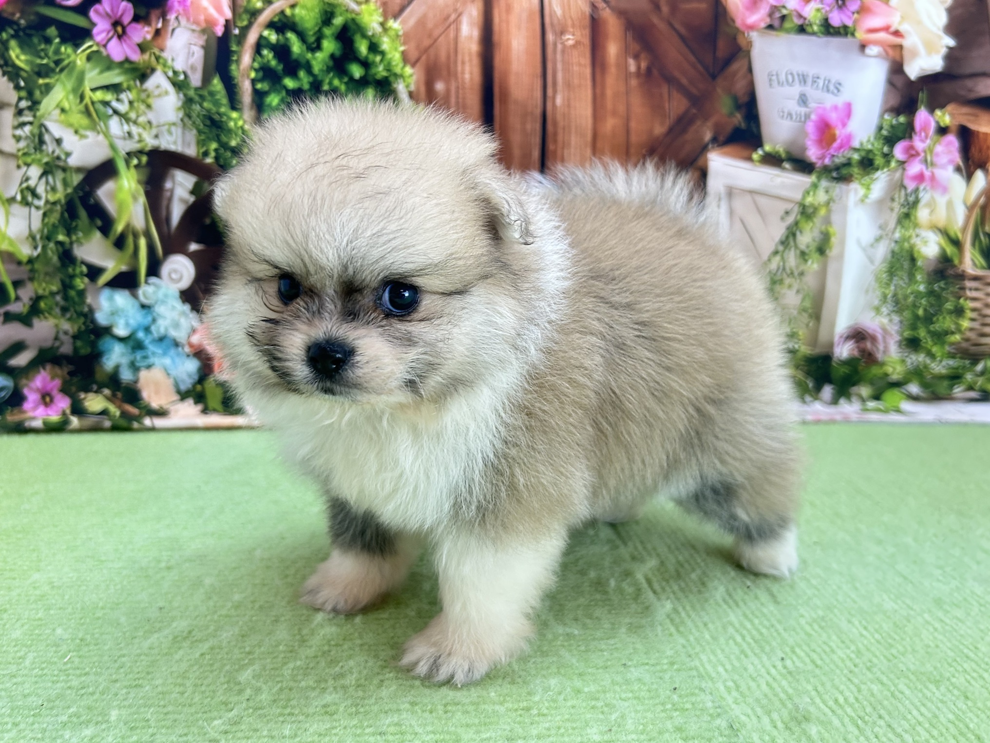 赤ちゃん写真2-2