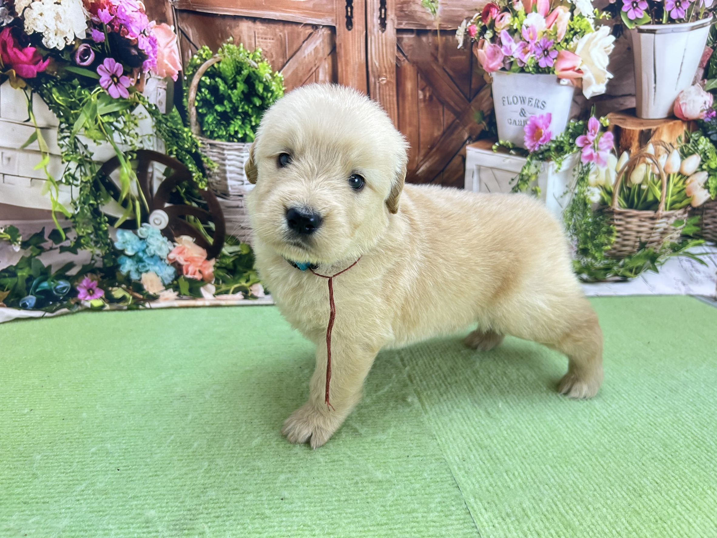 赤ちゃん写真2-2