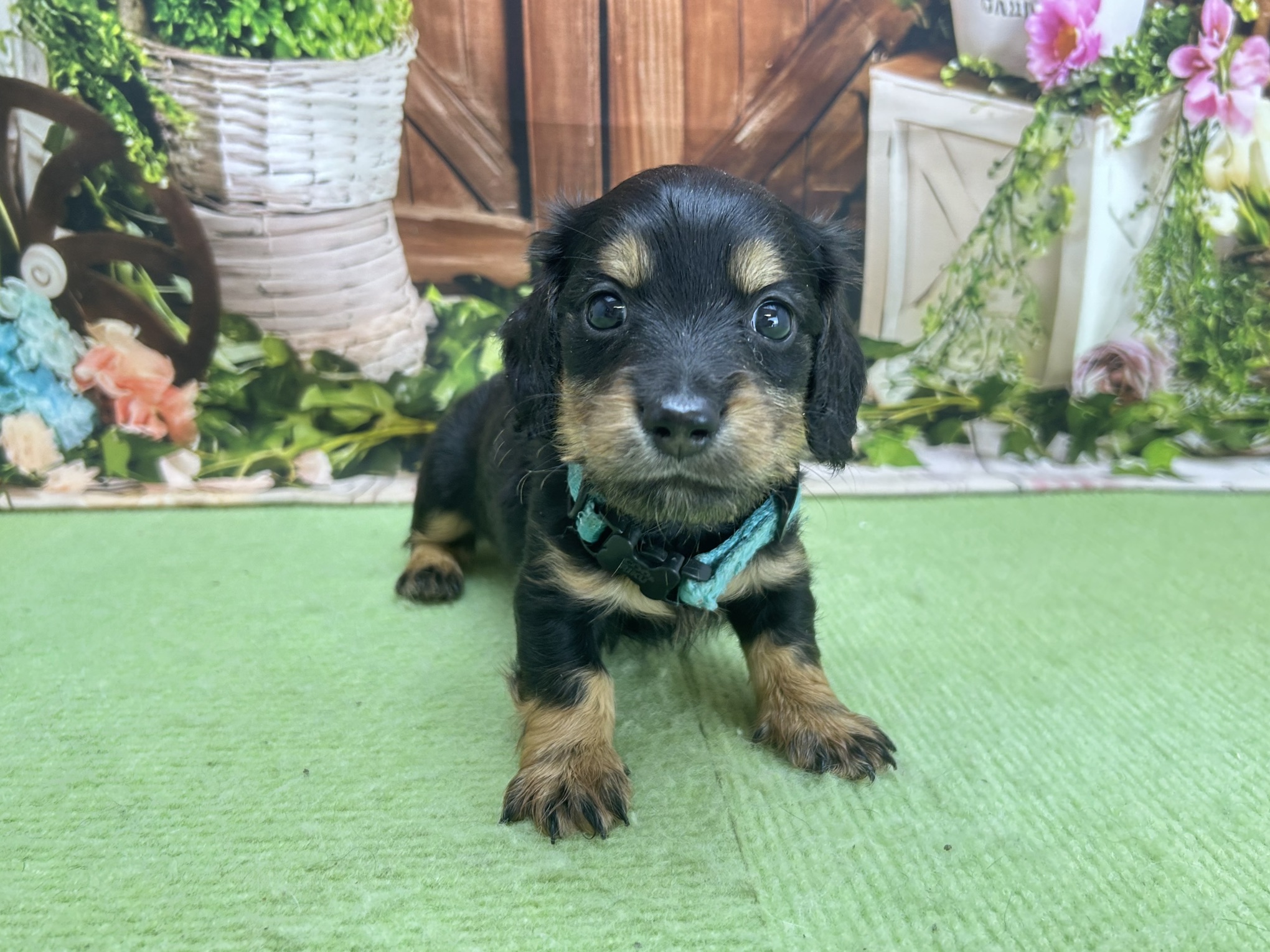 赤ちゃん写真2-1