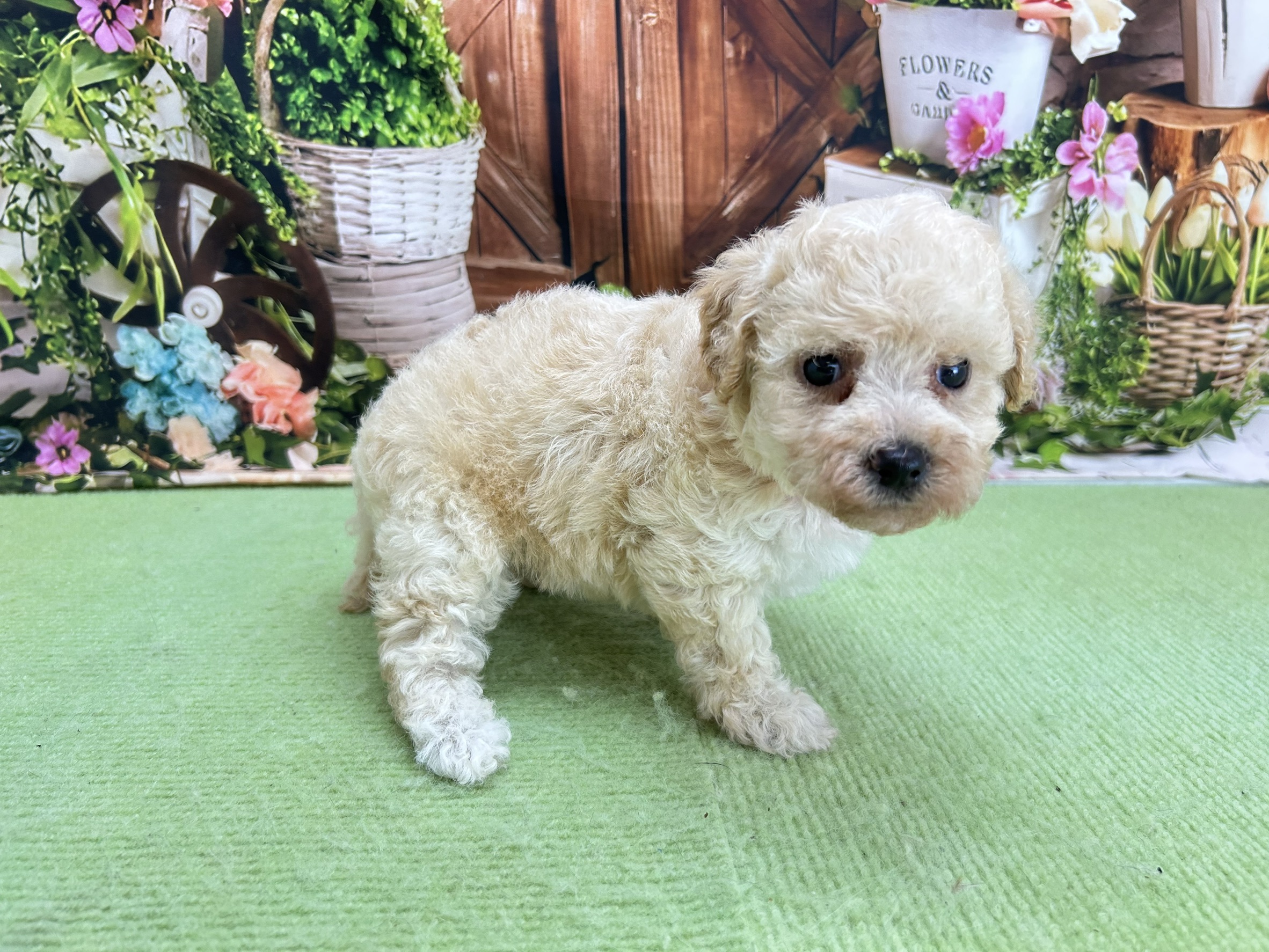 赤ちゃん写真2-2