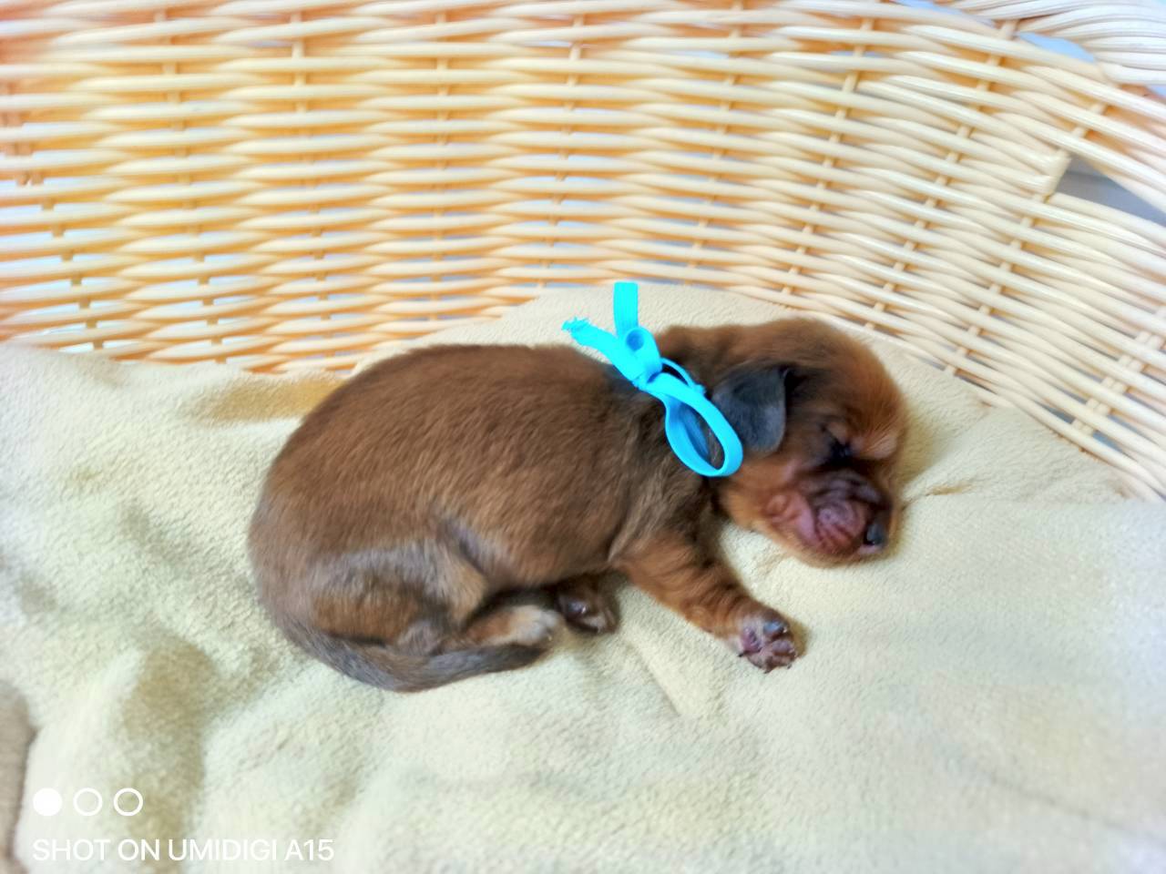 赤ちゃん写真1-2