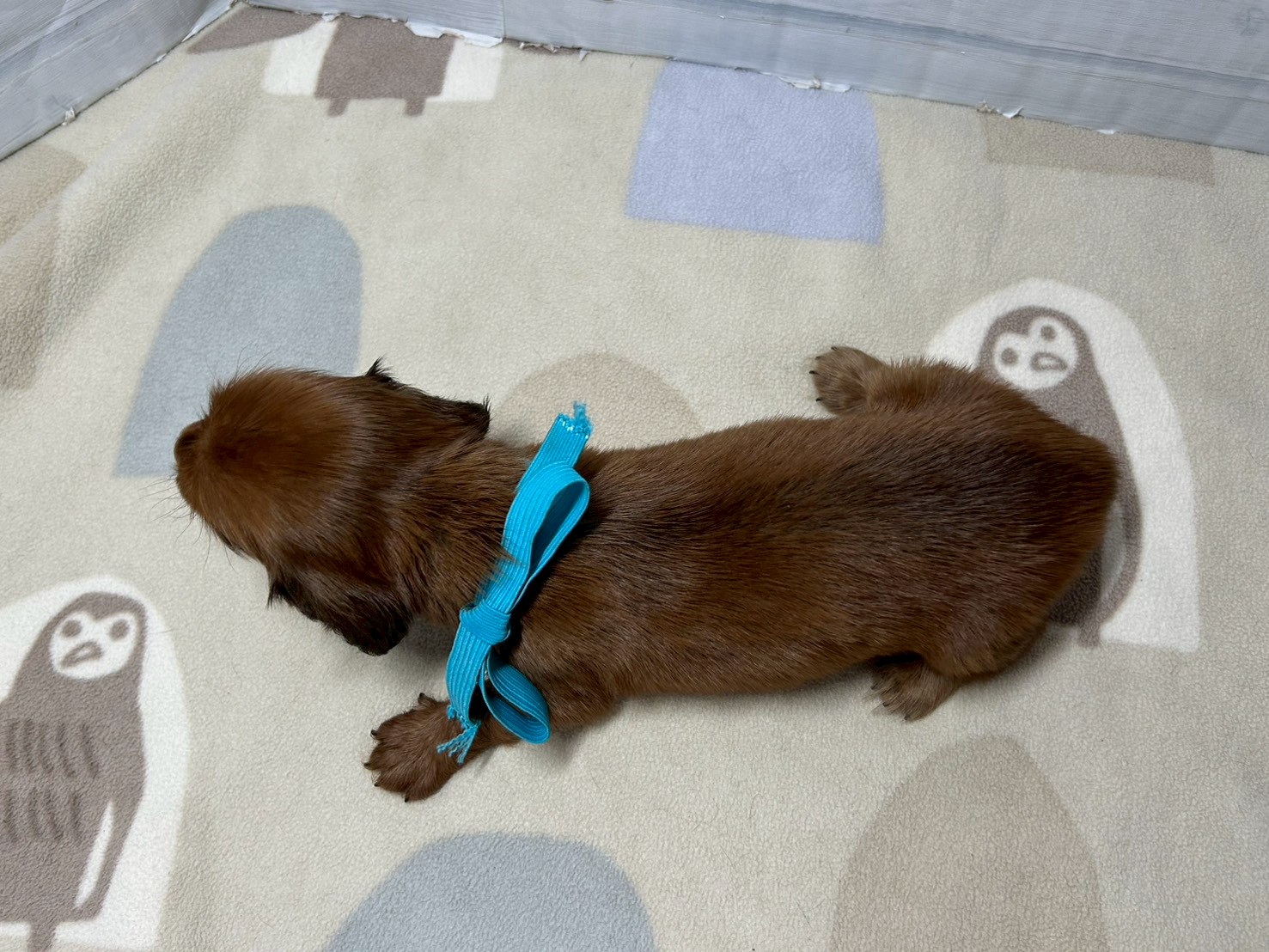 赤ちゃん写真2-3